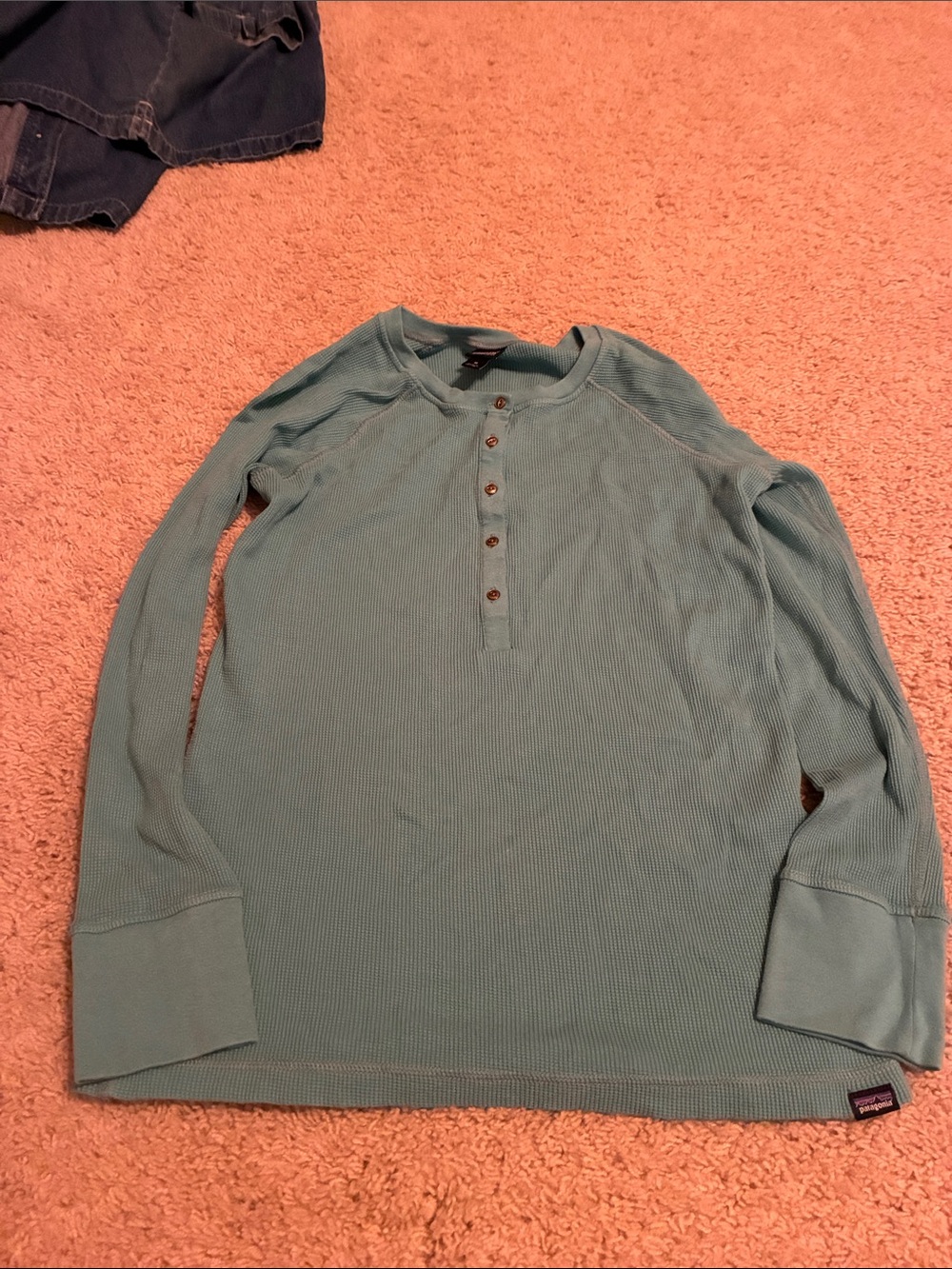 Patagonia Teal Henley Long-Sleeve Shirt (size medium)